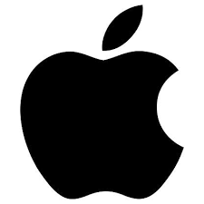 No 1 IT company in USA