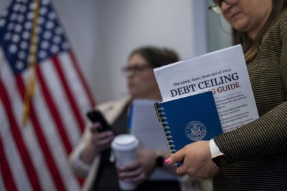 The US Debt Ceiling Crisis