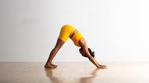 downward facing dog pose