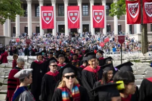 harvard stanford