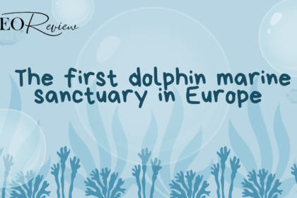 The first dolphin marine sanctuary in Europe will be established in Italy.